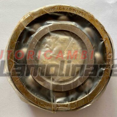 SKF 630251 Cuscinetto   6310/C4/630251 6310 C4 630251 50x110x27